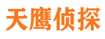 梅里斯市侦探调查公司